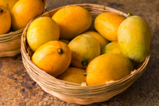 istock selective focus of ripe mangoes. 1324394207