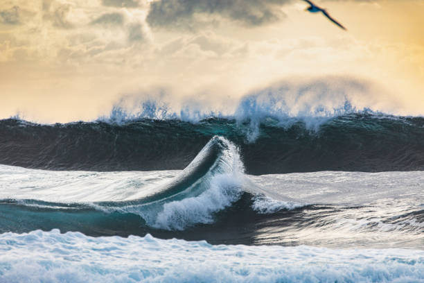 istock Crashing waves in front of stormy sky 1324399711