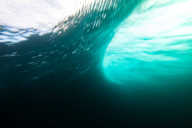 escena submarina de movimiento borroso - moviendo hacia abajo fotografías e imágenes de stock