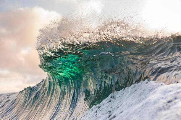 istock Jade Green Ocean Wave Peaking in Golden Morning light 1324402670