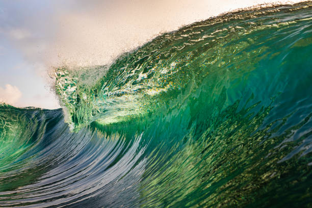 istock Deep Green Wave cresting in Golden light into deep blue ocean 1324403461