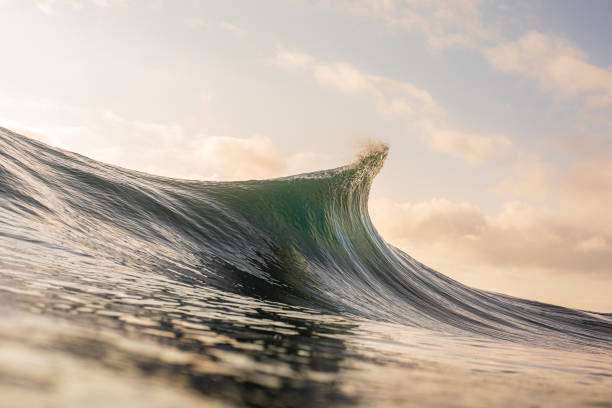 istock Golden Ocean wave cresting in morning light 1324403596