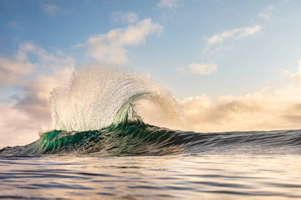 istock Emerald green backsplash ocean wave in golden light 1324403616