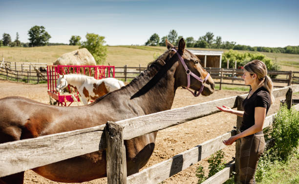 istock Young female trainer with her horse 1324403832