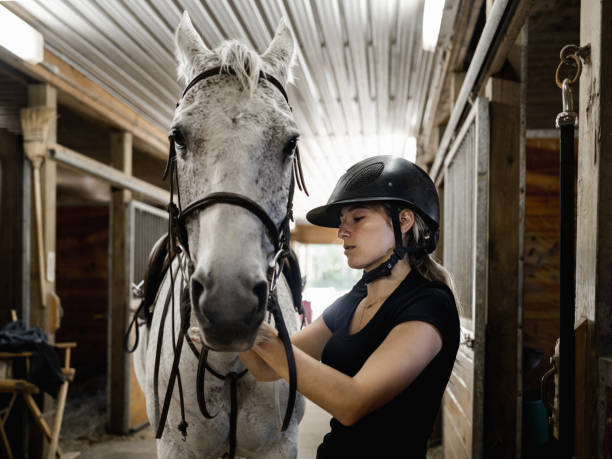 istock Young female trainer prepping her horse 1324404023
