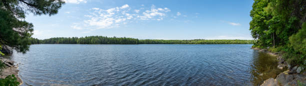 провинциальный парк харди лэйк на шоссе 169 в озерах мускока, торранс, канада - house wood dirt road footpath стоковые фото и изображения