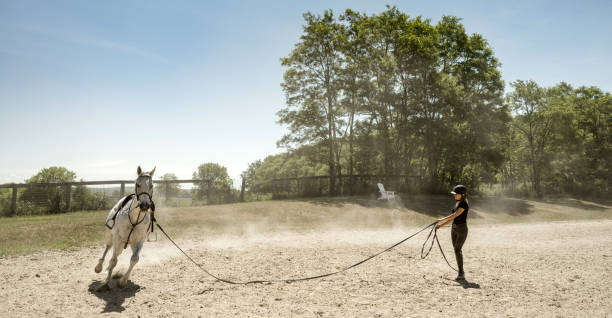 istock Young female trainer exercising her horse 1324404122