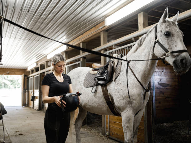 istock Young female trainer prepping her horse 1324404744