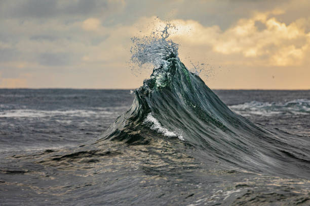 istock Perfect tip of cresting ocean wave 1324404868