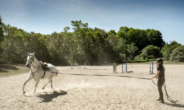 istock Young female trainer exercising her horse 1324404875