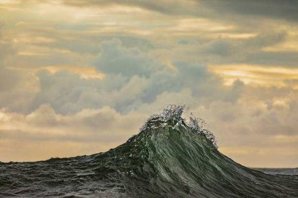 istock Ocean wave lifting up in morning light 1324404897