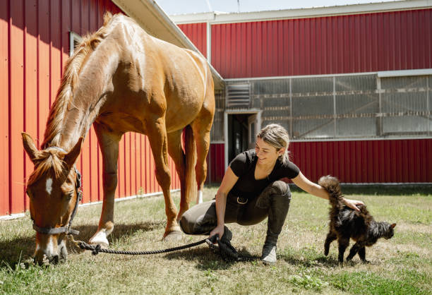 istock Young female trainer enjoying her horse 1324404980