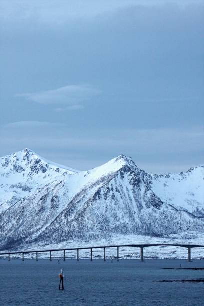 istock cruising through the polar winter 1324410464