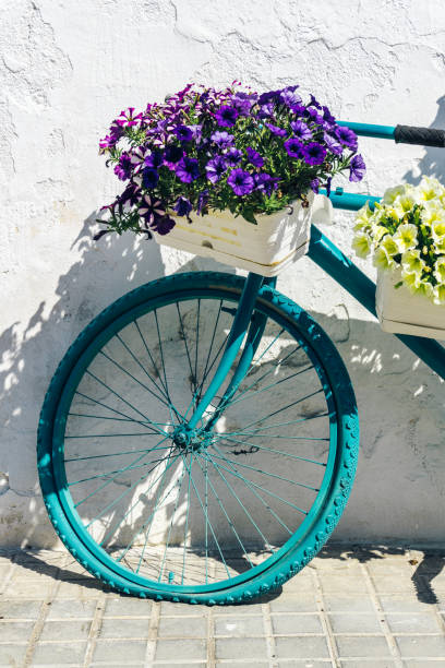 istock Bicycle with flower baskets leaning against an old white wall 1324410624