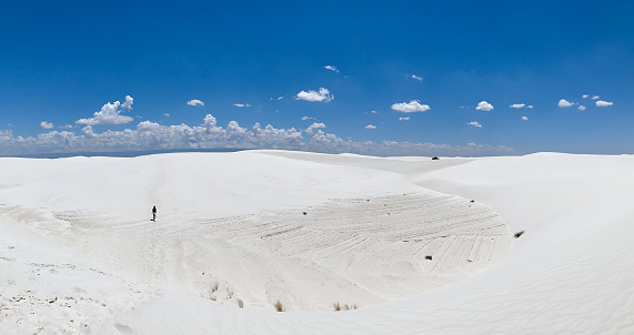 White Sands National Park is located in the state of New Mexico, United States. It is known for its unique and stunning landscape of white gypsum sand dunes, which cover an area of about 275 square miles (710 square kilometers). The park is situated in the northern Chihuahuan Desert, encompassing part of the larger Tularosa Basin. As for the vegetation in the park, it is adapted to the harsh desert environment. While the majority of the park's surface is covered by sand, there are several plant species that have managed to establish themselves in this challenging habitat. Some of the most common plants found in White Sands National Park include:\n\nSoaptree Yucca (Yucca elata): This iconic desert plant has long, spiky leaves that form a rosette shape. It can grow up to 20 feet (6 meters) tall and produces tall flower stalks with creamy-white blossoms.\n\nCholla Cactus (Cylindropuntia spp.): Cholla cacti are known for their branching, cylindrical stems covered in sharp spines. These cacti have adapted to conserve water and can survive in arid conditions.\n\nSand Verbena (Abronia spp.): These low-growing perennial plants feature small, colorful flowers and succulent leaves. They thrive in the sandy soils of the dunes and add splashes of pink, purple, and white to the landscape.\n\nDesert Marigold (Baileya multiradiata): This bright yellow wildflower is well-suited to desert environments. It has silvery-gray leaves and produces daisy-like flowers that bloom from spring to fall.\n\nApache Plume (Fallugia paradoxa): Apache Plume is a shrub that grows up to 6 feet (1.8 meters) tall. It features delicate, white, rose-like flowers and feathery fruits that resemble plumes, hence its name.