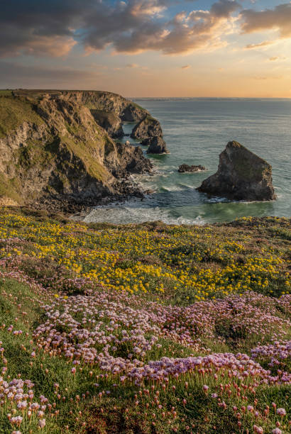 istock Beautiful landscape image during Spring golden hour on Cornwall coastline at Bedruthan Steps 1324413413