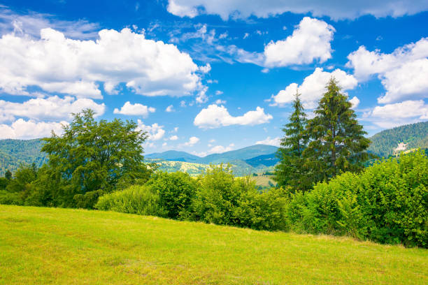 istock countryside summer landscape in mountains 1324415449