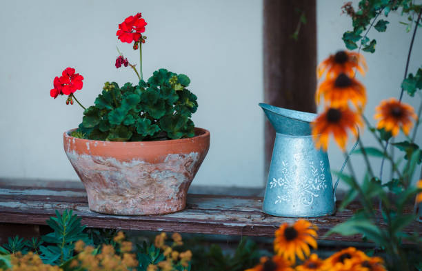 clay flower pot with red flowers and next to it is a tin water bowl with a white pattern on it