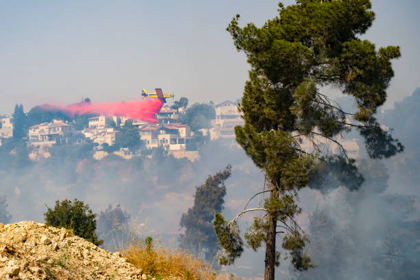 A Forest Fire Mevasseret Zion, Israel - June 19th, 2021: A firefighter airplane drops flame retardant over a pine forest fire on the municipal border of a town near Jerusalem, Israel. military tanker airplane photos stock pictures, royalty-free photos & images