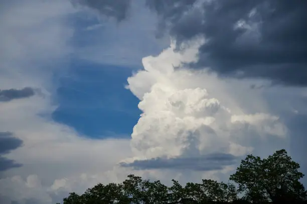 Photo of large white cumulus cloud just before a thunderstorm