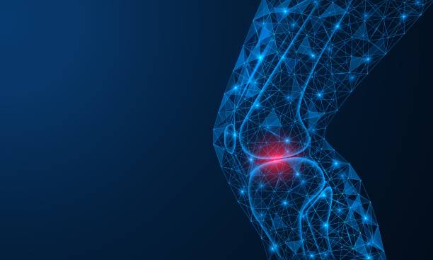 Pain in the knee joint. Pain in the knee joint. A polygonal model of lines and points. Blue background. tissue anatomy stock illustrations