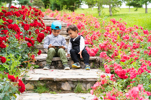 erkek kardeşler güller arasında uzanan merdivenlerde oturmuş cep telefonu ile oynuyor. bu güzel botanik bahçesindeki çocuklar full frame makine ile doğal ışıkta fotoğraflanmıştır.
