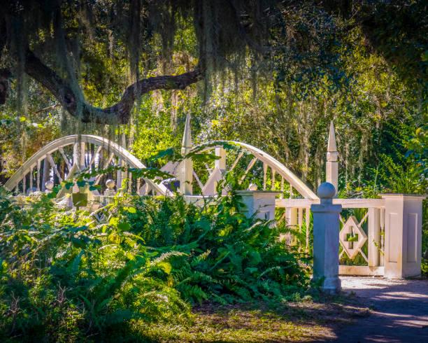 istock Fort Myers, Florida - 2020 1324434859