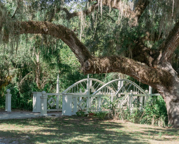 istock Fort Myers, Florida - 2020 1324434862
