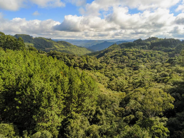 istock Aerial view of forest in valley 1324441663