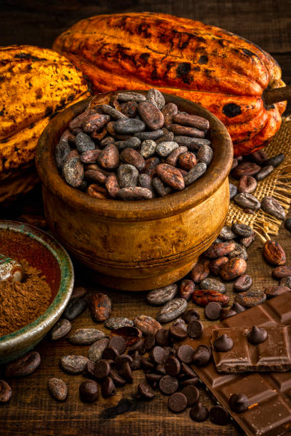 Cocoa composition Cacao composition: Cacao fruits with dried cacao beans (nibs), cocoa powder, chocolate bar and chocolate drops (chips). nib stock pictures, royalty-free photos & images