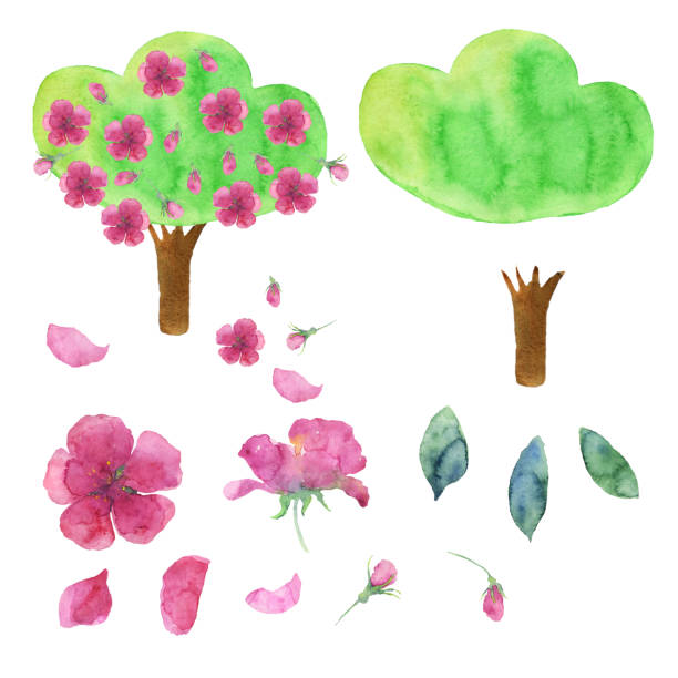 istock Clip art with tree, pink flowers, leaves. Watercolor hand drawing illustration. Apple or cherry tree. Elements for spring design. 1324447769