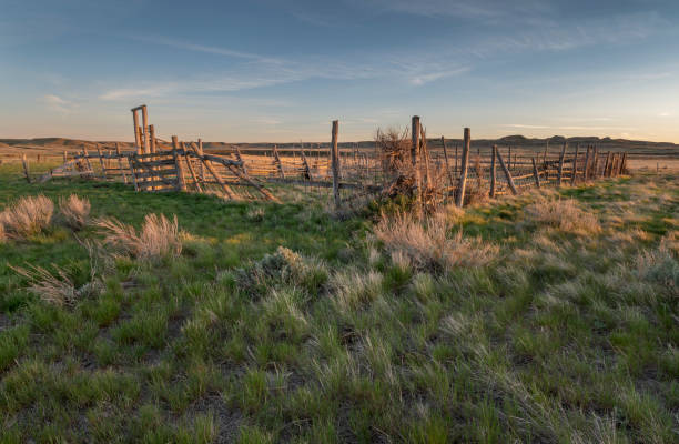istock Old Corral near Val Marie 1324451722