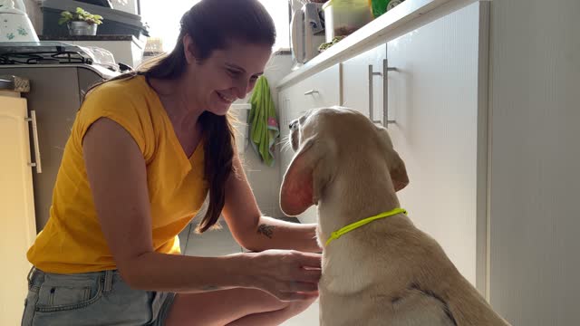 Woman putting a ID collar on her dog
