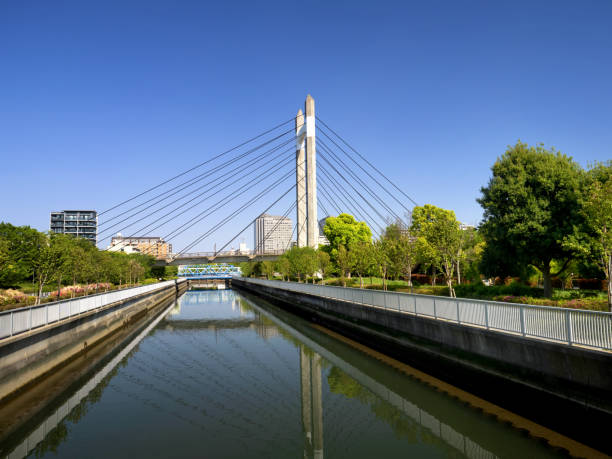 istock Kiba Park, Tokyo 1324465794