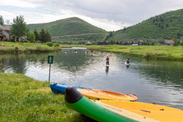 owners and dogs learning to stand up paddleboard on a deer valley / park city lake - dog tranquil scene pets animals and pets imagens e fotografias de stock