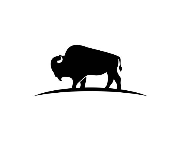 ilustraciones, imágenes clip art, dibujos animados e iconos de stock de logotipo de la silueta de bisontes - bisonte americano