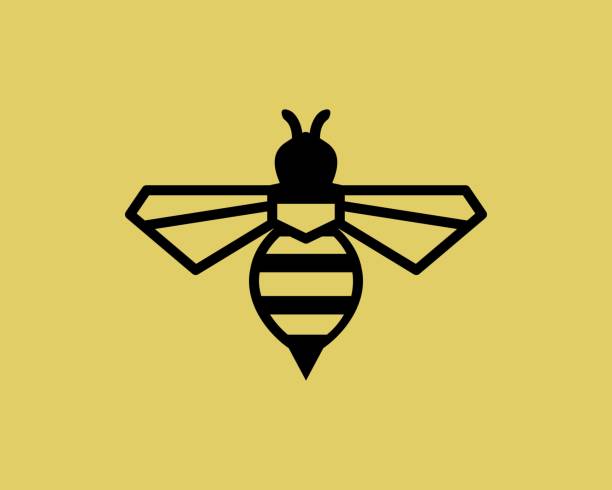 stockillustraties, clipart, cartoons en iconen met geometric bee logo vector - bee