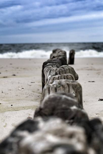 Wooden poles on the beach on Sylt
