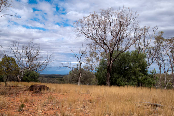 istock Rural view from top of hill to horizon 1324475253