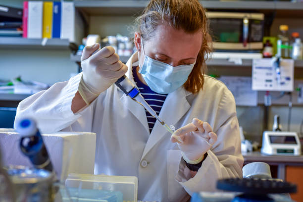Research lab during covid-19 pandemic Woman researcher wearing mask pipetting chemical from eppendorf tube crispr photos stock pictures, royalty-free photos & images