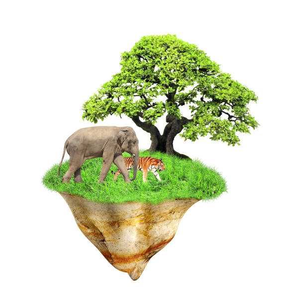 istock Fantasy floating island with green grass, tree, wild animals 1324477440