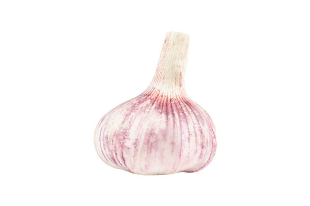 istock Garlic isolated. Isolated garlic on white background with clipping path. Whole fresh garlic 1324480766