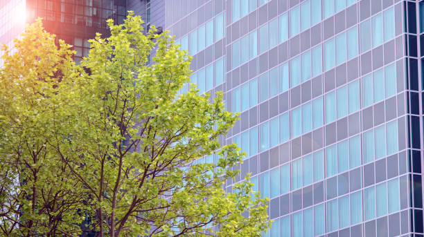 istock Eco architecture. Green tree and glass office building. 1324480850