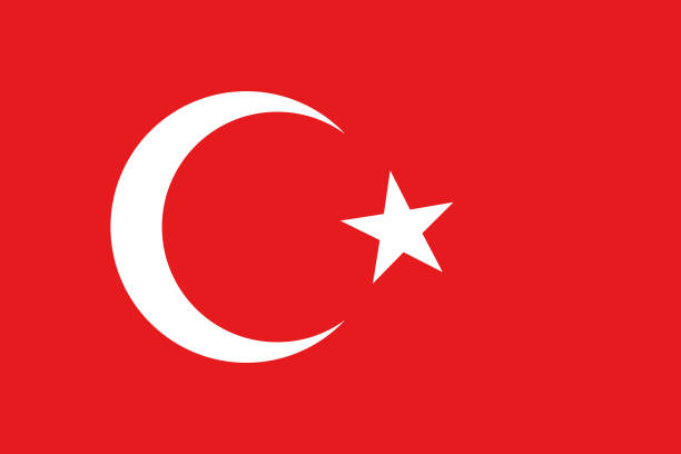 национальный флаг страны турция. - crescent east istanbul ankara stock illustrations