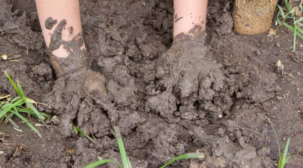 istock Hands of a male boy in muddy puddle 1324488145