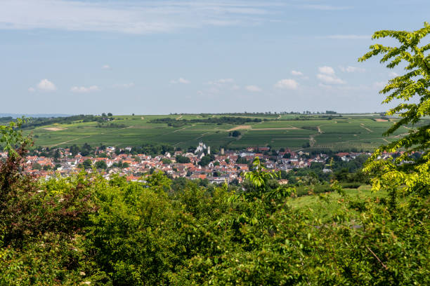 istock Ingelheim, Rhein, Germany during summertime 1324489129