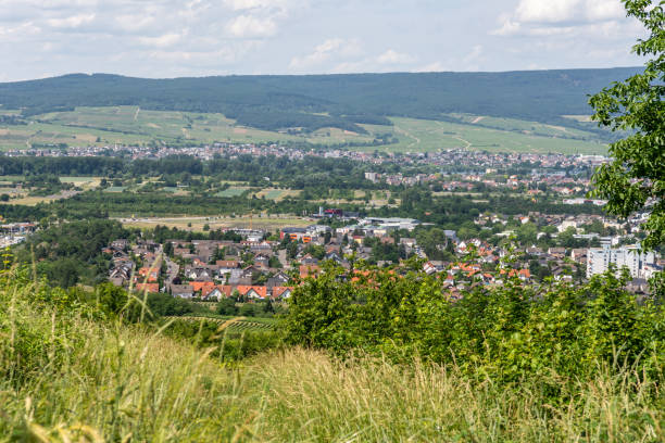istock Ingelheim, Rhein, Germany during summertime 1324489172