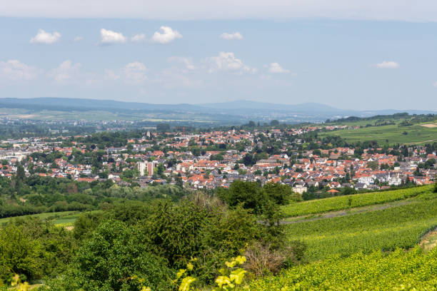 istock Ingelheim, Rhein, Germany during summertime 1324489174