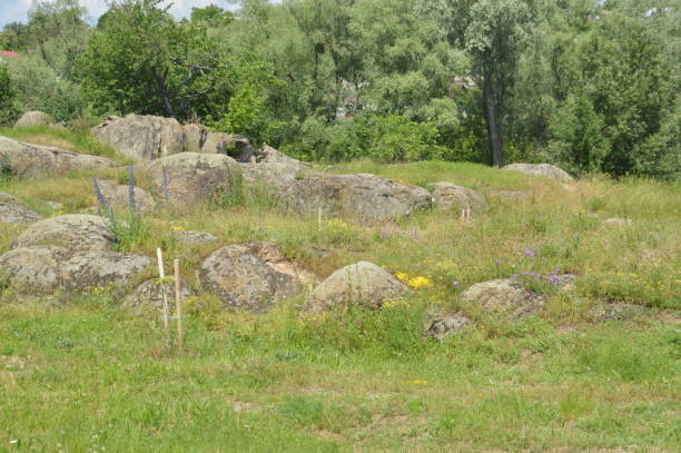 istock Ancient large stones in a the field 1324489253