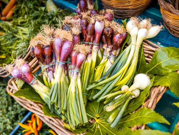 A detailed view of a basket of fresh and healthy red and white spring onions and scallions. The traditional Mediterranean diet consists of natural, healthy and fresh products, including fruits, vegetables and grains. Image in high definition format.